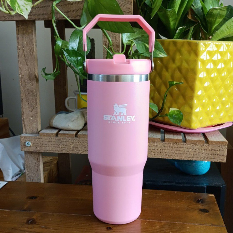 تراول ماگ استنلی تامبلر Stanley مدل IceFlow Flip Straw ظرفیت ۸۸۷ میل - STANLEY - تراول ماگ
