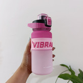 قمقمه مدل ویبرانت ۶۵۰ میل vibrant دسته دار نی دار در دکمه ای قفل دار